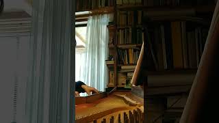 On Clavichord Practice for Bach s Suite BWV813 [upl. by Annirok]