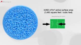 Mutag BioChip presentation and diffusion [upl. by Ylatan]