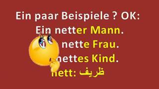 Lektion8 Aussehen und Charakter Herr LAHSEN 2LV Video2 [upl. by Blanca844]