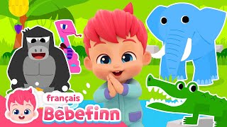 Le Boogie Dans La Jungle  Chanter avec Bebefinn  Bebefinn en français👶Chansons pour Enfants [upl. by Vincelette238]