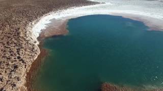 Laguna Baltinache laguna escondida San Pedro de Atacama [upl. by Forelli]