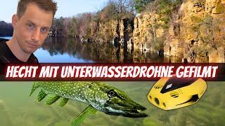 Traumhafte Unterwasserwelt amp schönster Raubfisch Deutschlands [upl. by Merv]