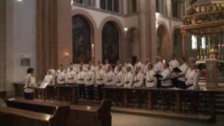 Heruvimskaya pesn  Ural Cossacks choir  Live in Vienna [upl. by Nyer762]