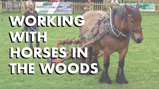 Working with Horses in the Woods [upl. by Ardelia]