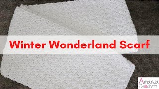 Winter Wonderland Scarf  Easy Crochet Scarf Tutorial [upl. by Dnomad75]