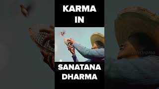 Concept Of Karma Explained  Is Karma True  Is Karma Really Work  What Is law Of Karma  Liforama [upl. by Verger955]