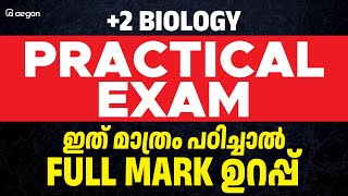 ‘ PLUS TWO BIOLOGY PRACTICAL EXAM ഇത് മാത്രം പഠിച്ചാൽ FULL MARK ഉറപ്പ് ‘  AEGON plustwopractical [upl. by Nawoj]