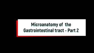 Histology of Gastrointestinal tract  Part 2 Microscopic features of Stomach Histology of Stomach [upl. by Lirbaj763]