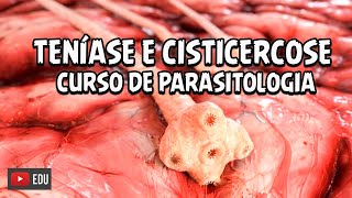 CICLO DA TENÍASE E CISTICERCOSE  CURSO DE PARASITOLOGIA│ Biologia com Patrick Gomes [upl. by Gilemette]