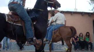 Paseo a caballo en la Feria de Talamantes Chihuahua 2011 [upl. by Nosdrahcir]