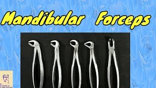 Mandibular Forceps  Identification and uses  Lower extraction forceps [upl. by Ocinemod532]