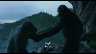 Dawn of the Planet of the Apes  Apes together strong [upl. by Atteynod]