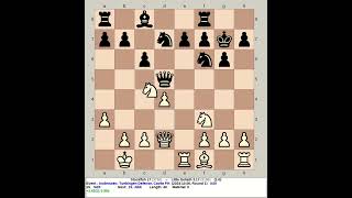 Stockfish 17 vs Little Goliath 317  Anderssen Tuebingen Defense chess [upl. by Robertson]