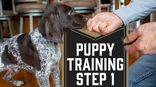 First Step To Training A Puppy [upl. by Malvin]