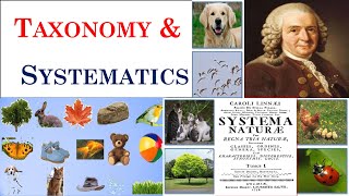 Taxonomy  Systematics  Carolus Linnaeus  Part 1 [upl. by Ettessil864]