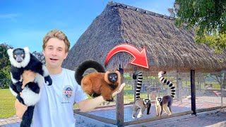 BUILDING GIANT LEMUR ENCLOSURE FOR MY BACKYARD ZOO [upl. by Vanny947]