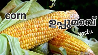 ഒരു nostalgic ഉപ്പുമാവ്ചോളപ്പൊടി ഉപ്പുമാവ്corn flour uppumavmaize [upl. by Lakin133]