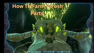 How To Farm Farosh Parts Effectively  Zelda TOTK [upl. by Ecilef]