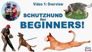 Online Schutzhund Training For Beginners Overview [upl. by Aleemaj923]