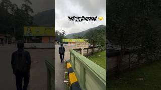 කවුද වැරදි  😰 accident srilanka carefull dangerous travel shorts norton [upl. by Codd]