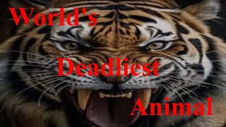 The Worlds Deadliest Animal [upl. by Manup]