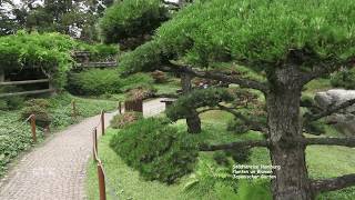 Japanischer Garten  Hamburg [upl. by Nosittam]