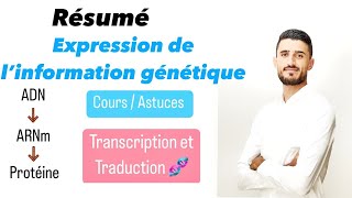 Résumé naaadi expression de l’information génétique  Transcription et Traduction  Mutation [upl. by Pilif]