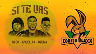 Te vas remix  sech  anuel AA ozuna [upl. by Drolet436]