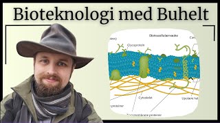 Bioteknologi  Cellemembranen og membrantransport [upl. by Enid462]