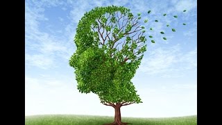 Neurologist Discusses Dementia Basics and Treatment [upl. by Htelimay]