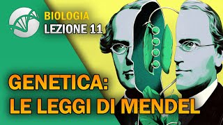 BIOLOGIA  Lezione 11  Genetica Le Leggi di Mendel [upl. by Akener]