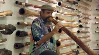 Mark Atkins Didgeridoo  Spirit Gallery [upl. by Atinuj]