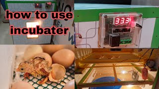 How to hatch a chicks egg at home  Incubator Use Full Information and Tips for better Hatching resu [upl. by Buffum]