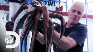 Fishing For Deadly Humboldt Squid Off The Coast Of Peru  River Monsters [upl. by Danielle]