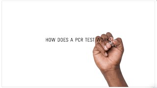 How does a COVID19 PCR test work [upl. by Ader]