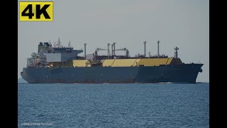 PALU LNG  Shipspotting Germany 🇩🇪 IMO 9636735  River Elbe near City Otterndorf  4K VIDEO [upl. by Otilopih]