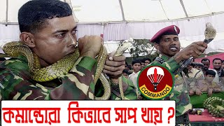 Bangladeshi Commando Eating Snake amp Fox🐍 কমান্ডোরা কি খায়  Life of a Special Force 🪂🪂 [upl. by Thane]