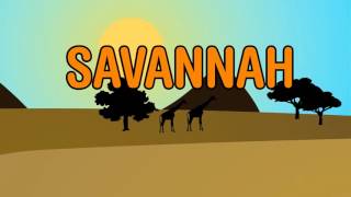 Diviners  Savannah feat Philly K Official Lyric Video [upl. by Kciderf943]