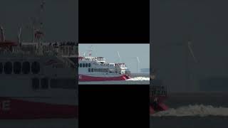 HIGH SPEED CATAMARAN quotHALUNDER JETquot shorts shipspotting ship [upl. by Nerraj]