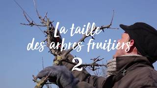 Permaculture et autonomie  Taille des arbres fruitiers 22 [upl. by Atiuqer]