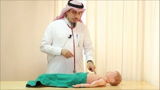 Pediatric Cardiovascular Assessment Physical Examination  Dr Zaher Faisal Zaher [upl. by Gerstner]