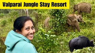 വാൽപ്പാറയിൽ കാട്ടിൽ താമസിക്കാം Stay in forest Jungle Stay Resort Valparai travelforest [upl. by Lada578]