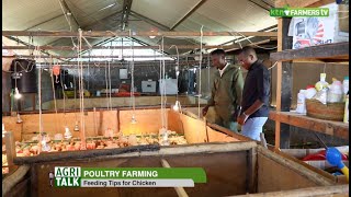 Poultry farming tips and best practices  AgriTalk [upl. by Asiuol100]