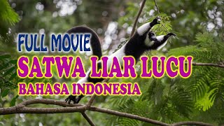 Koleksi Film Dokumenter  Binatang Lucu Menggemaskan di Pulau yang Indah Bahasa Indonesia [upl. by Emlyn]