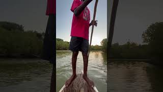 Kongo River Estuary Diani Tiwi Beach Kwale County Coastal Region Sunset Cruise Canoe Tour Hidden Gem [upl. by Oad906]