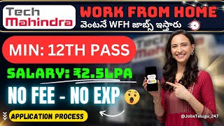 Work From Home Jobs  500 Openings Tech Mahindra Customer Care ₹13500₹15000 jobstelugu247🔥 [upl. by Stiruc]