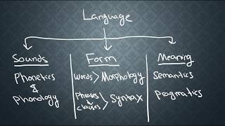 SEMANTICS1 What is Semantics [upl. by Betsy]