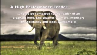 Learn excellent leadership from the amazing Elephant [upl. by Sophey]