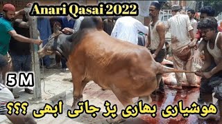 Anari Qasai 2022  Eid UL Azha [upl. by Katuscha588]