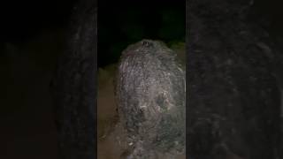 Mawjymbuin Cave Natural Linga mawsynram meghalaya cave sandstone lordshiva healing 2024 [upl. by Ahsa]